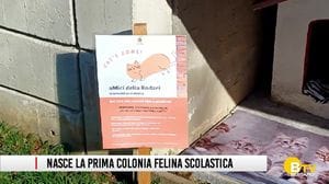 Inaugurata la prima colonia felina scolastica