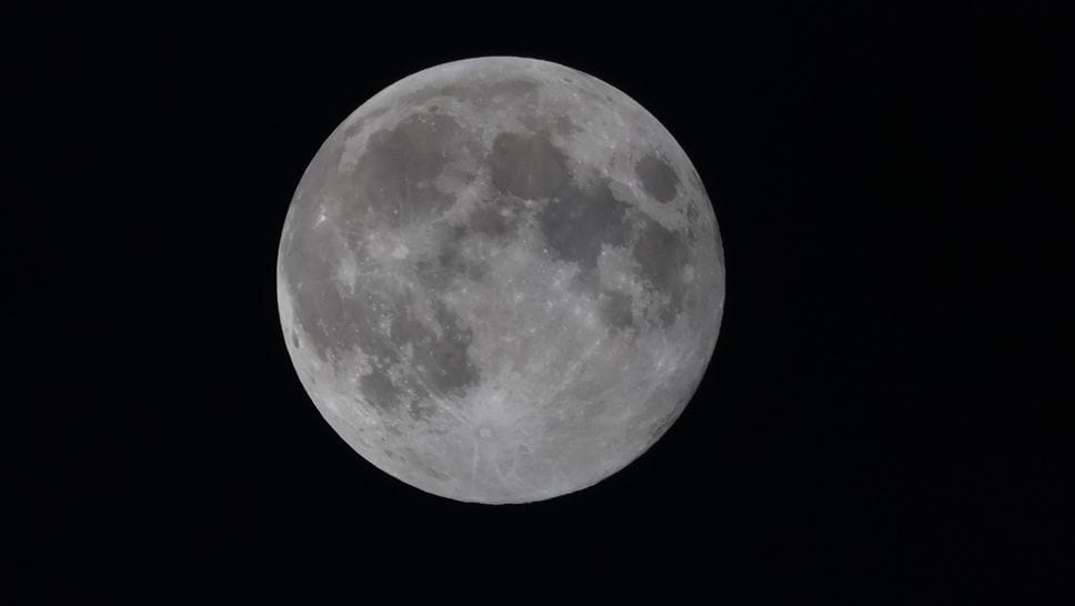 La luna piena della neve immortalata dal nostro lettore Costanzo Spizzi nella notte tra domenica e lunedì 2 febbraio