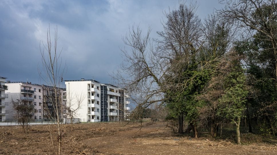 Il «bosco» urbano tra via Borgo Palazzo e via Daste e Spalenga