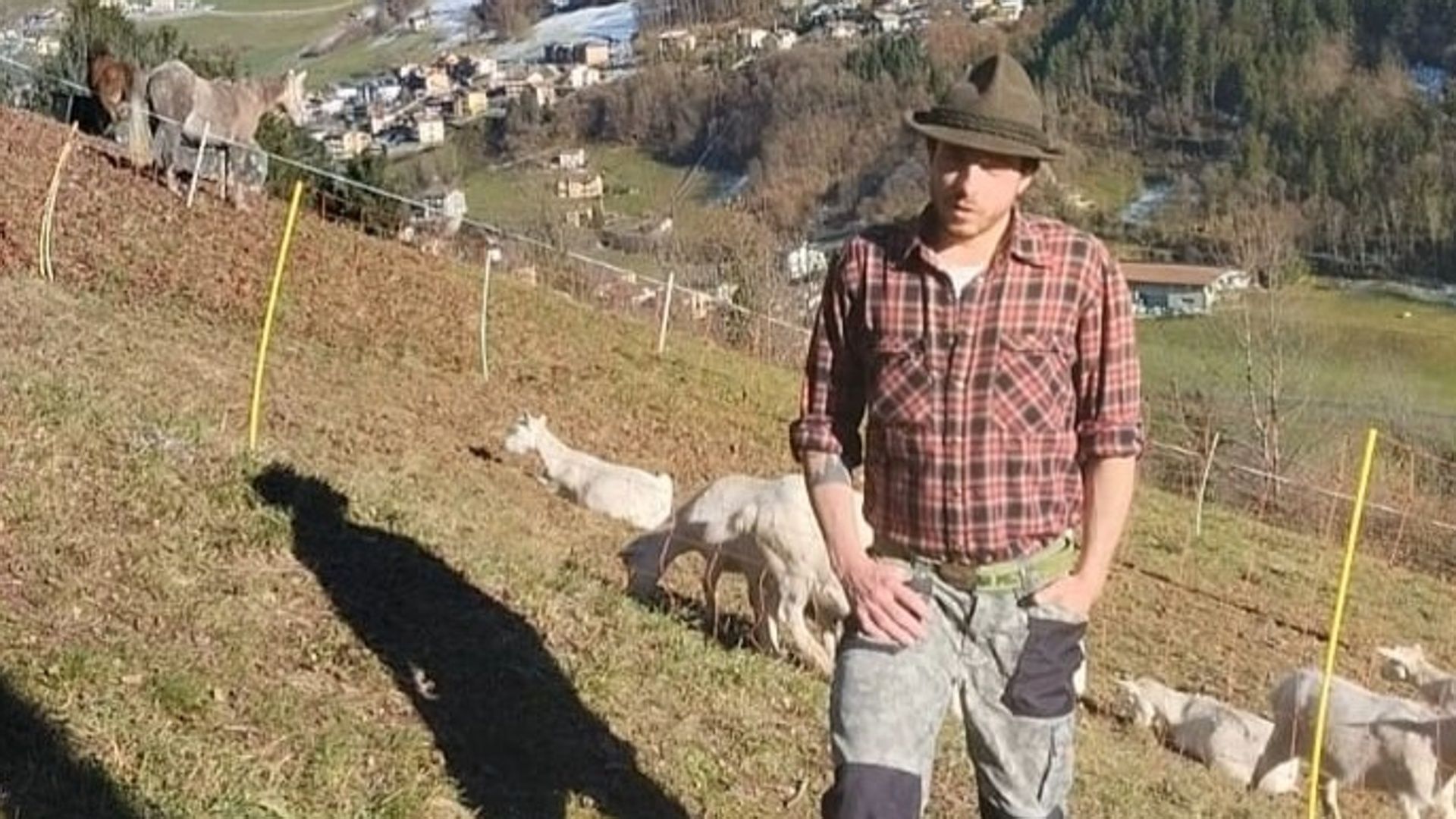 la bella storia di massimo barbeni il giovane di ardesio che ha deciso di fare il pastore