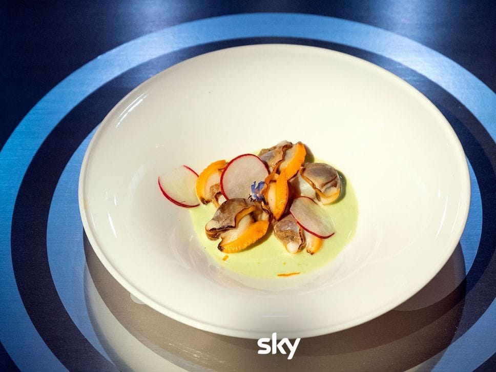 4af264ac-0e4c-11f1-92e9-47fee22cc680