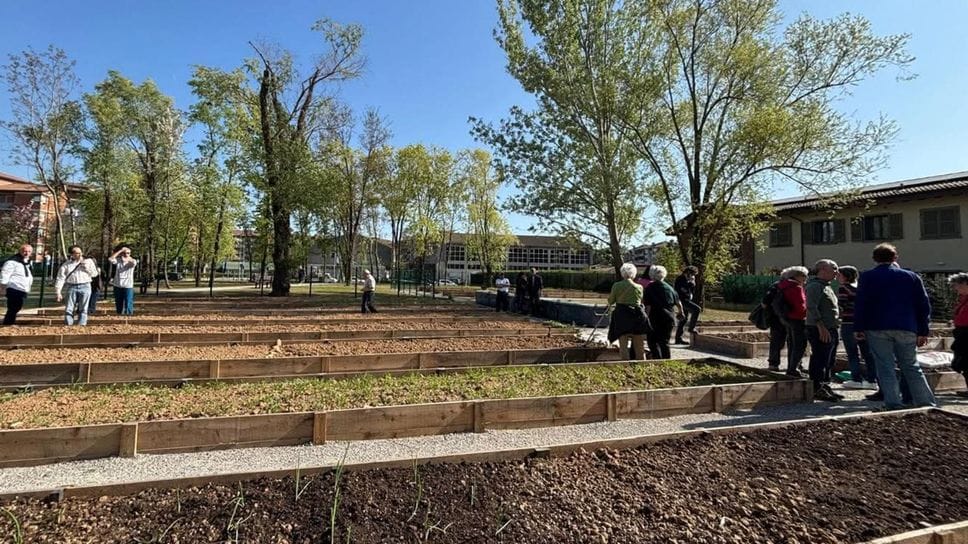 Alcuni degli orti urbani: pubblicata l’ultima graduatoria