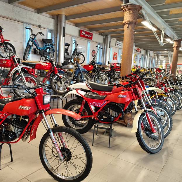 La Collezione Crippa