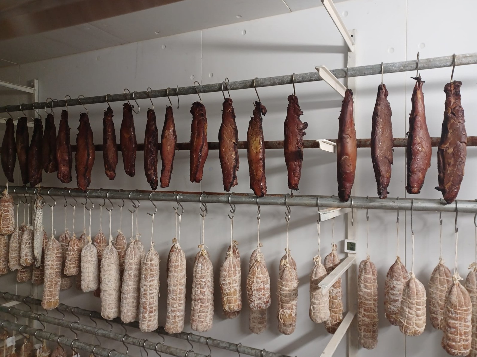 Immagine per a3b77388-1168-11f1-ac96-3a4055d0ffbf