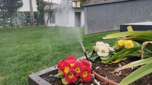 Immagine per 2e43b1e6-1228-11f1-ac96-3a4055d0ffbf