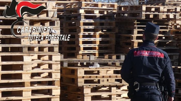pallets e imballaggi nel mirino dei forestali cinque denunce e un mezzo sequestrato