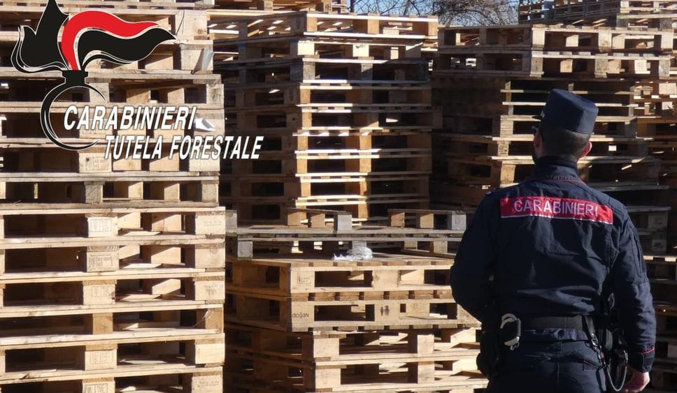 Controlli serrati nel mese di febbraio da parte del Gruppo Carabinieri Forestale di Bergamo nelle aziende specializzate in imballaggi e pallets