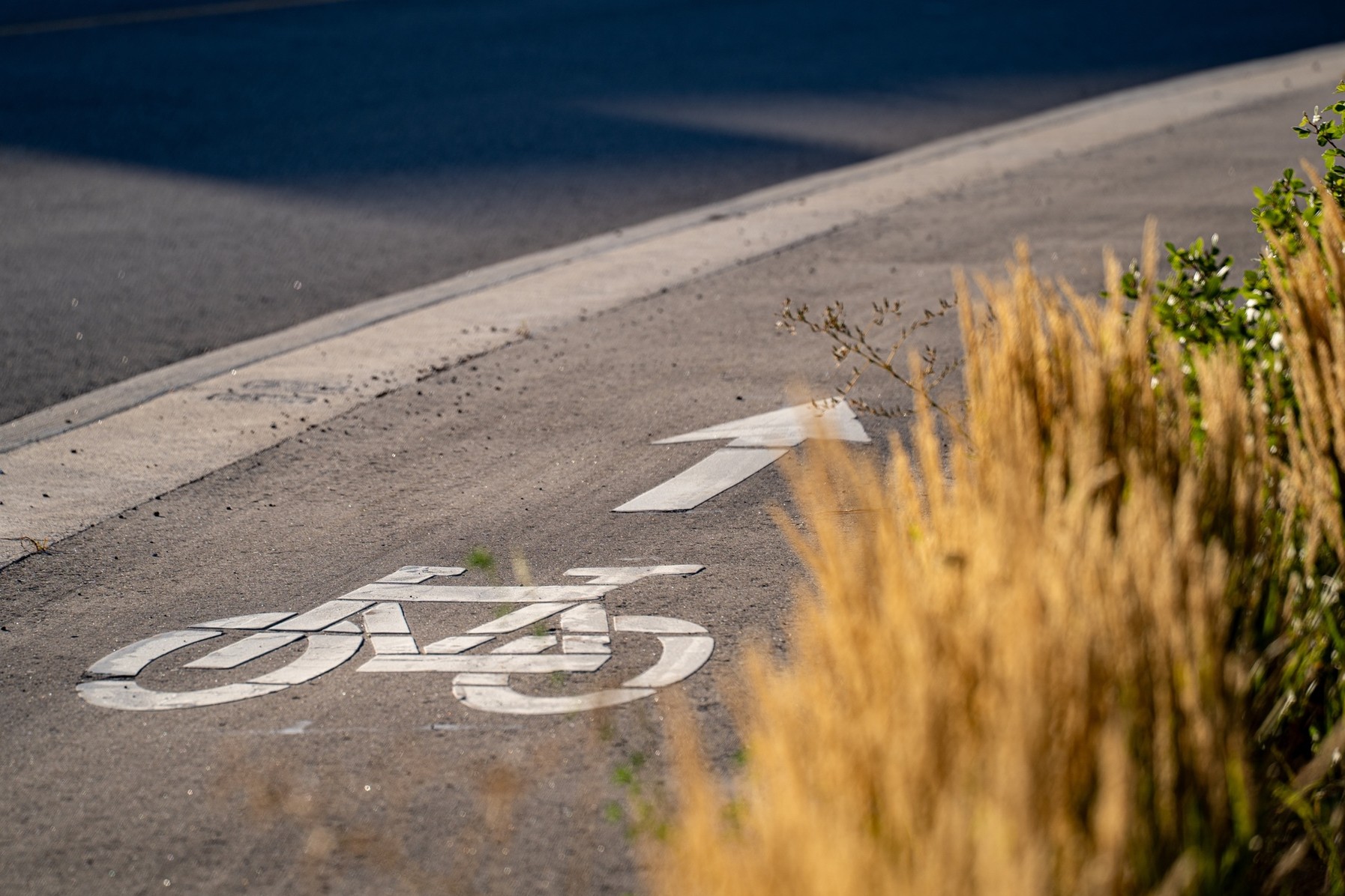 Immagine per dd2a6f48-13f8-11f1-ac96-3a4055d0ffbf