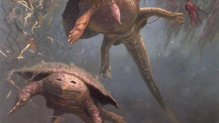 Dalle Prealpi bergamasche il cranio di un antico rettile marino corazzato