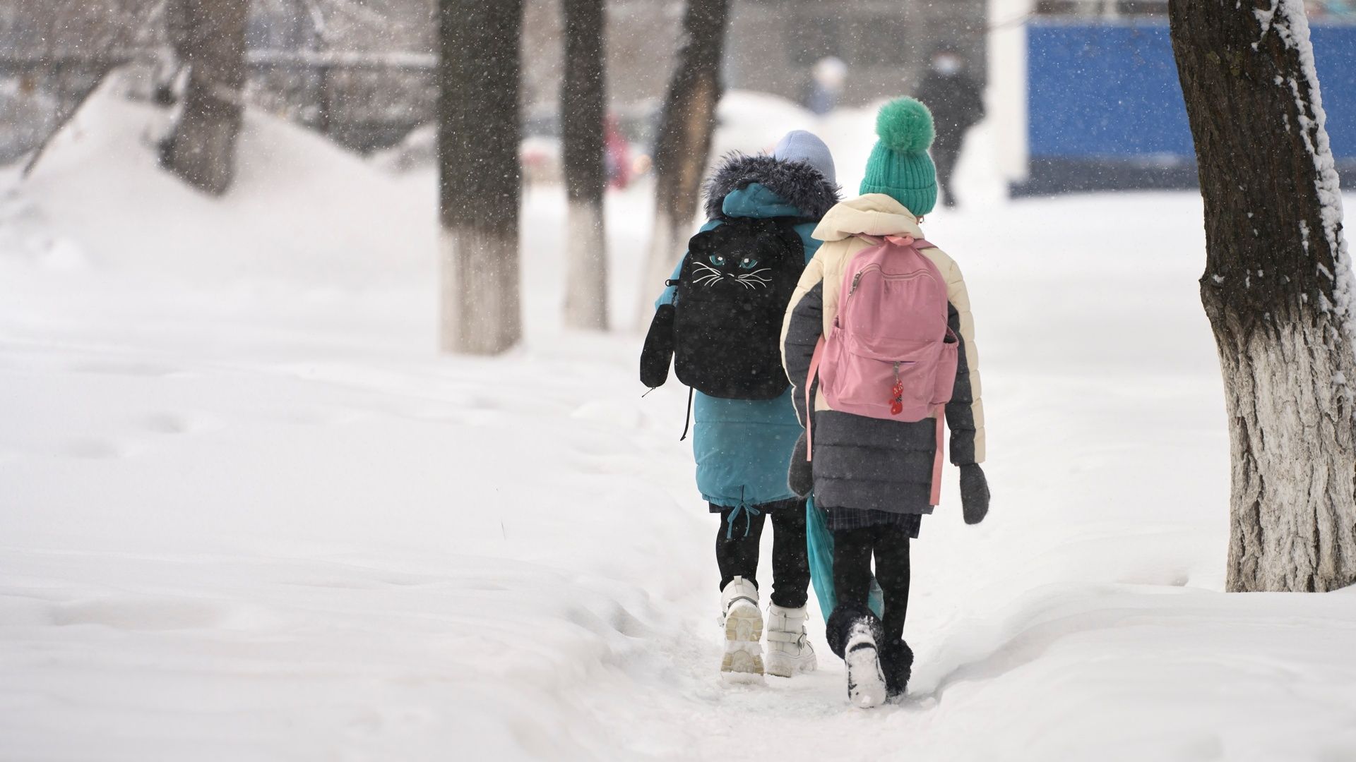 Ragazzino lasciato a piedi dal bus: così ho scoperto di essere boomer