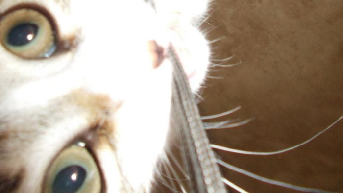 alla carrara esposte 99 fotografie sbagliate