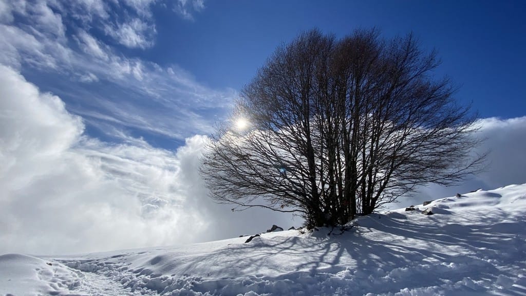 Tra il Linzone e Valcava