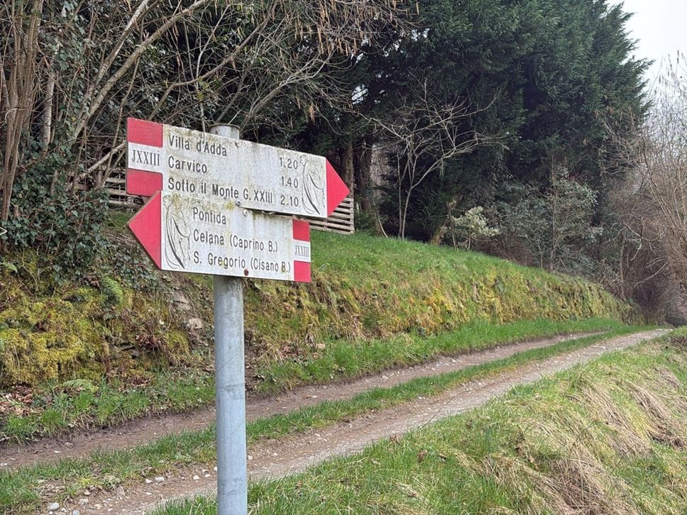 Il sentiero sopra Pontida dove è avvenuta la tragedia in cui è morto un ciclista di 64 anni di Rivolta D’Adda che si è scontrato contro un capriolo