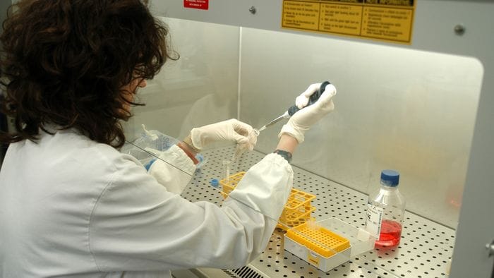 Malattie renali rare: da un’unica diagnosi a cinque «profili»