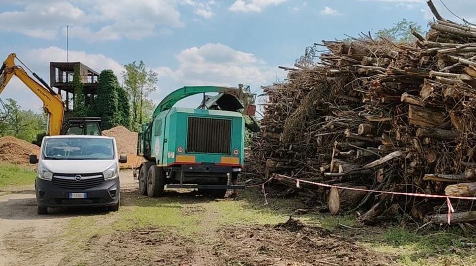 Le operazioni di cippatura dopo il precedente focolaio