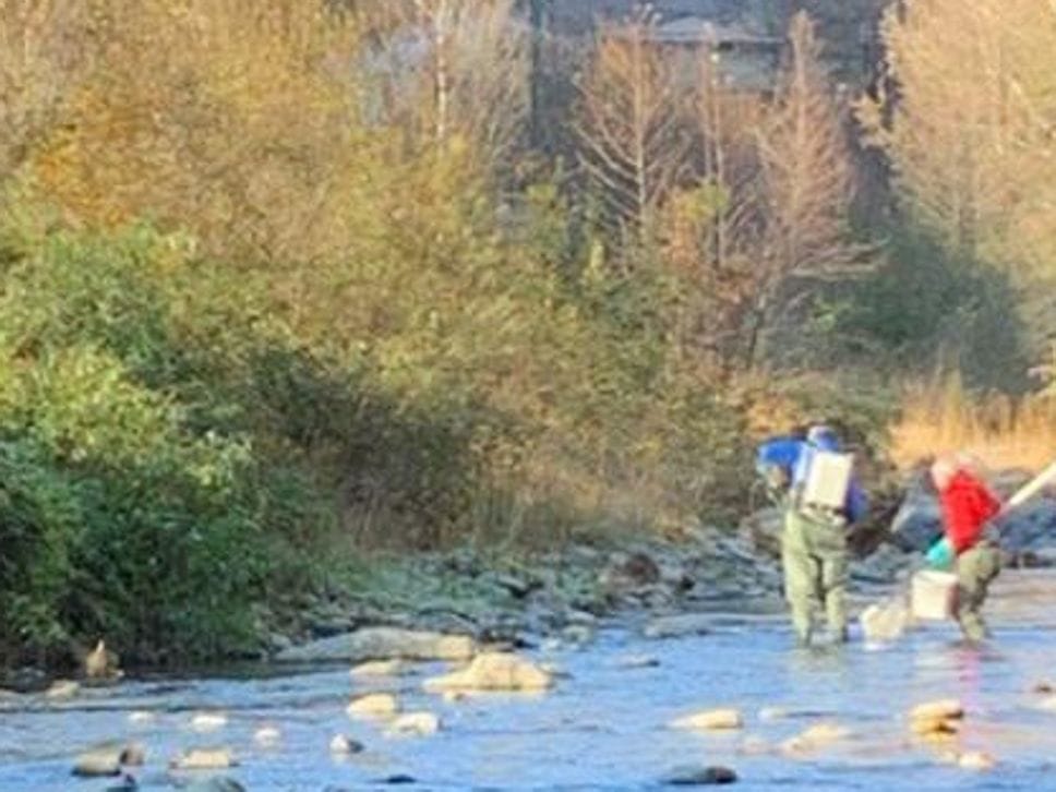 Un momento del monitoraggio acque