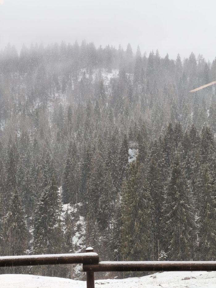 La nevicata di sabato 14 marzo al rifugio Alpe Corte sopra Ardesio in Valle Seriana