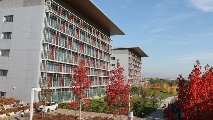 tumore dell8217ovaio a bergamo una rete per cure pi249 efficaci e rapide