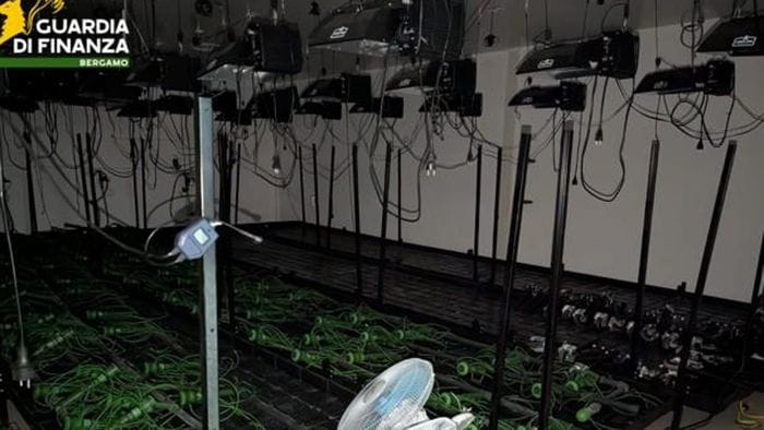 a orio scoperto traffico internazionale di stupefacenti sequestrati oltre 218 chili di droga sei arresti foto e video