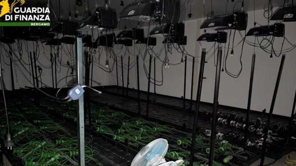 Scoperta una serra di droga nel Varesotto