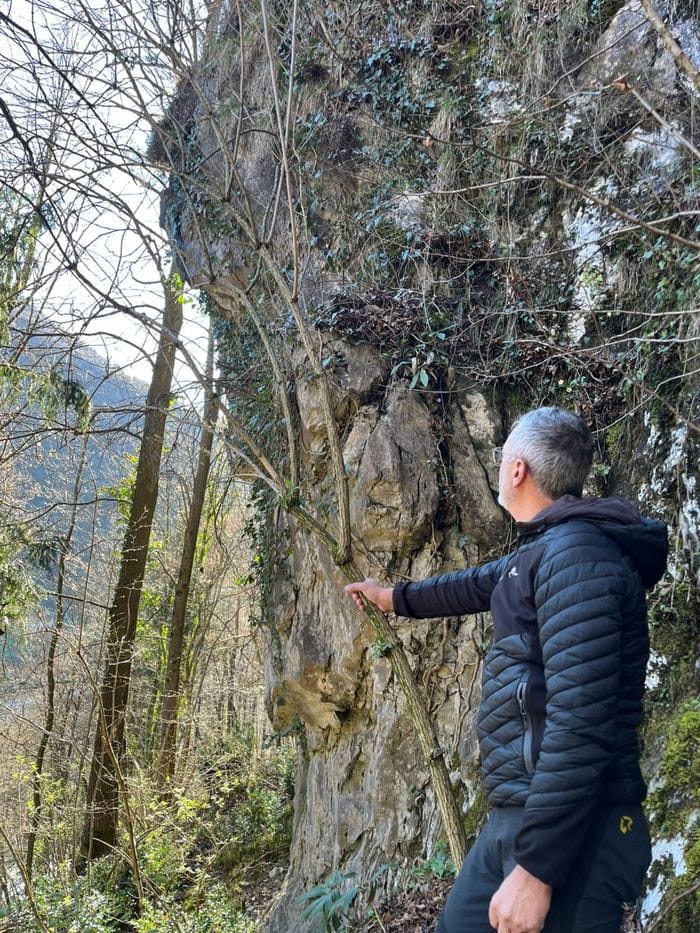 Sopralluogo a San Pellegrino