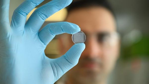 Immagine per 3dfbc476-2299-11f1-aeff-3c691be3e939