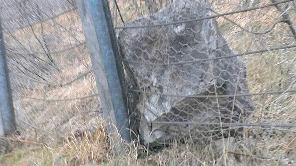 Il masso caduto a San Pellegrino