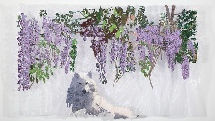 alla gamec un anno di eventi pubblici e in sede la mostra eau di ana silva da Ecodibergamo.it alla gamec un anno di eventi pubblici e in sede la mostra eau di ana silva