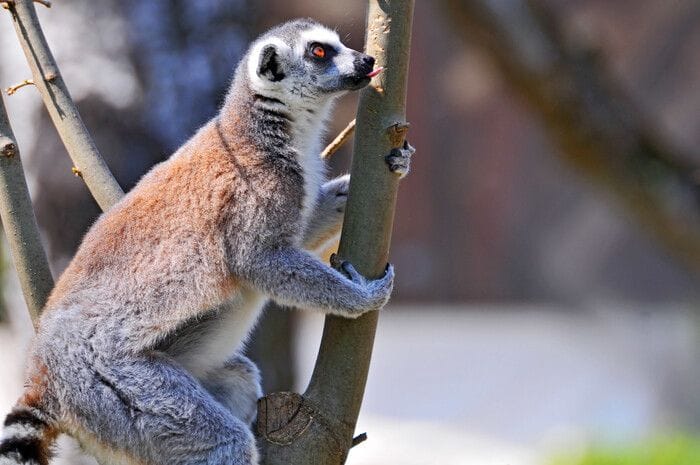 Immagine per f0182a68-242a-11f1-aeff-3c691be3e939