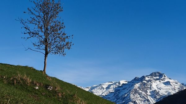 Immagine per 53ff54f0-23e2-11f1-b8b2-2221012ac144
