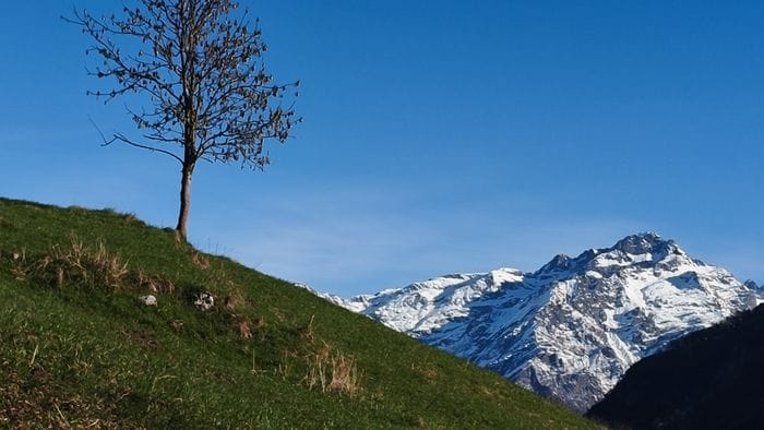 3d18beaa-2321-11f1-b8b2-2221012ac144