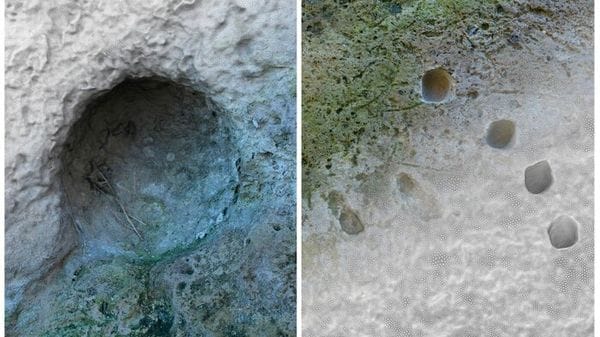 Nelle mura di Pompei i segni lasciati da un'antenata della mitragliatrice 