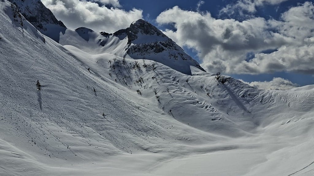 «Primavera ghiacciata al Branchino...»