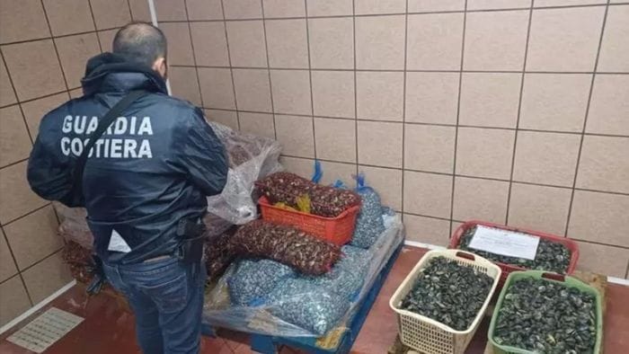 prodotti ittici sequestrate 26 tonnellate ispezioni anche a bergamo da Ecodibergamo.it prodotti ittici sequestrate 26 tonnellate ispezioni anche a bergamo