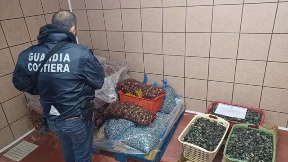 Prodotti ittici: sequestrate 26 tonnellate: ispezioni anche a Bergamo