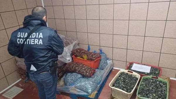 Prodotti ittici: sequestrate 26 tonnellate: ispezioni anche a Bergamo