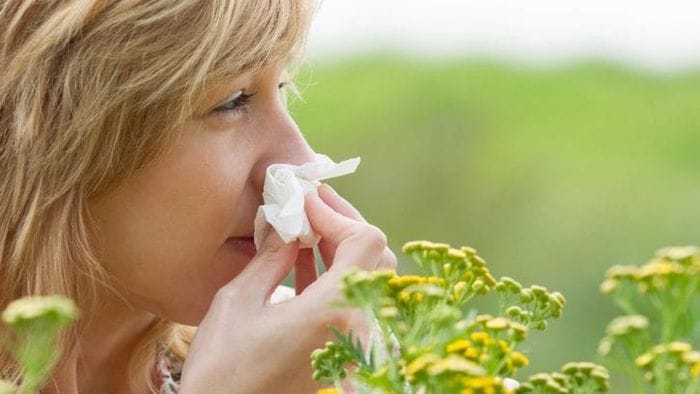 Allergie stagionali: capire, prevenire e gestire i sintomi