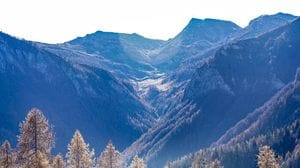 Banca del Dna dei boschi del Piemonte, i semi per il cambiamento climatico