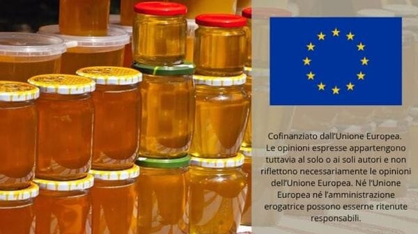 Immagine per ansa-4f2fb8be-90d7-4507-bf9d-cf55b93036cd