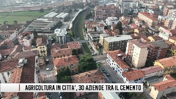 Agricoltura in città: 30 aziende sopravvivono tra strade, ferrovie e cemento