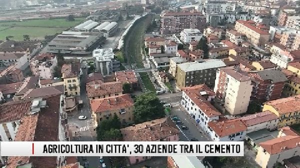 Agricoltura in città: 30 aziende sopravvivono tra strade, ferrovie e cemento