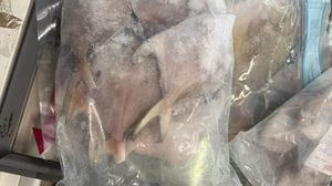 Pesce scaduto nel banco freezer: stop alla vendita in un negozio di Bergamo - Foto