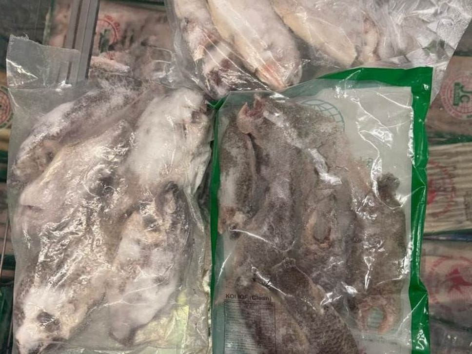 Pesce scaduto nel banco freezer: stop alla vendita in un negozio di Bergamo - Foto
