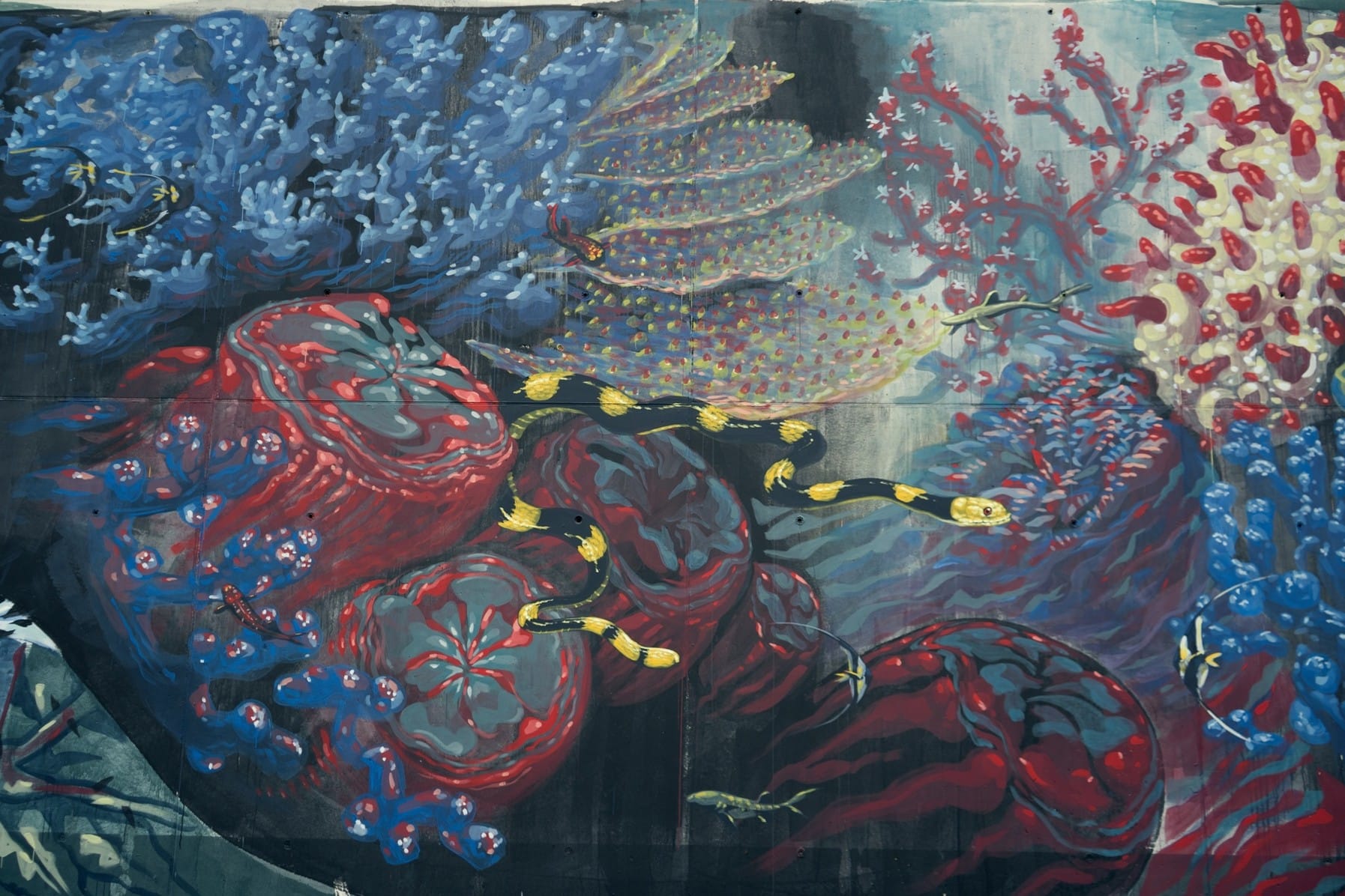 L’arte costruisce comunità: entra nel vivo il progetto «APP!»