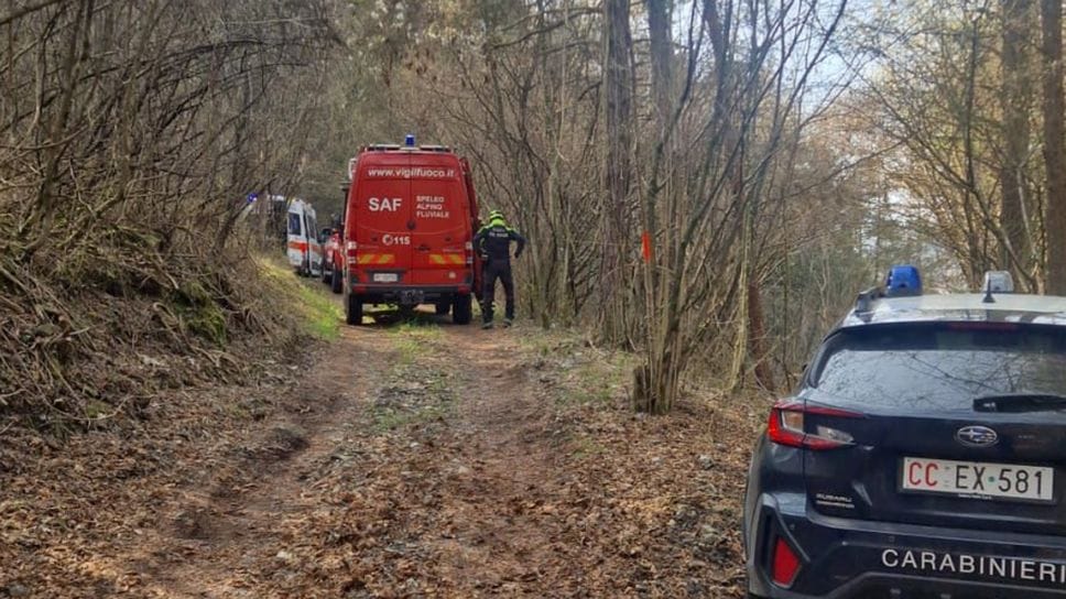 Ponte Nossa, 77enne muore mentre taglia un albero
