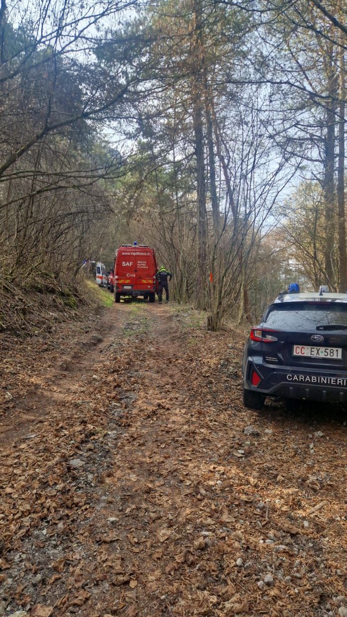 Ponte Nossa, 77enne muore mentre taglia un albero