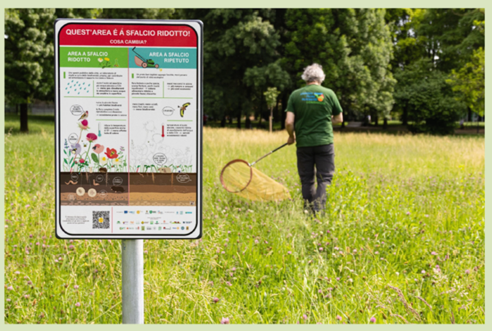 Bergamo amplia il taglio dell’erba differenziato per favorire la biodiversità