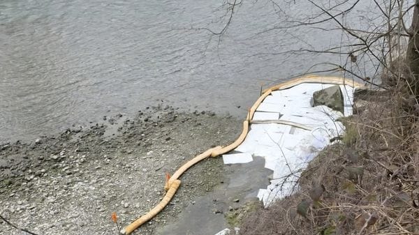 Capriate, idrocarburi dall’argine del Brembo. L’inquinamento per ora rallenta 