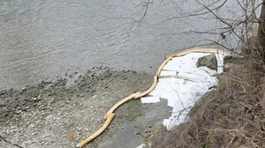 Capriate, idrocarburi dall’argine del Brembo. L’inquinamento per ora rallenta 