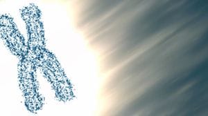 Nel cromosoma X umano la chiave degli incroci con i Neanderthal 